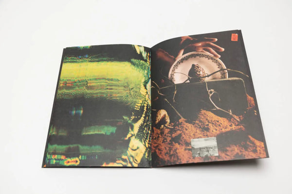 Give Yourself the Caribbean, again, Samantha Box