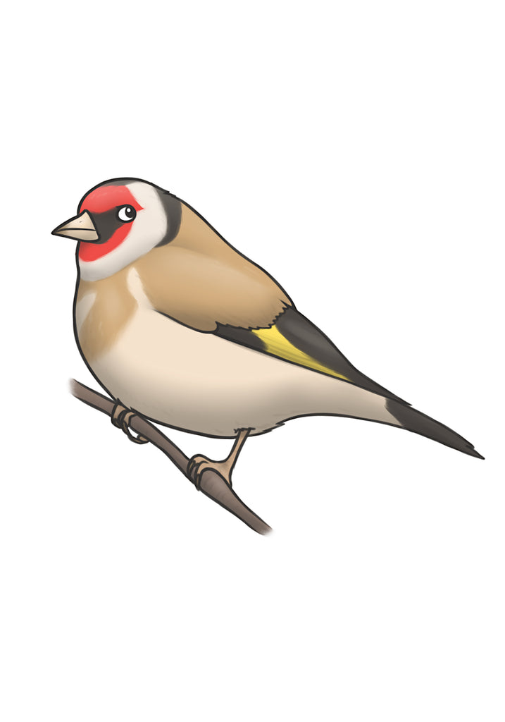 Goldfinch Mounted Print, Joe Hollingsworth & OystercatcherTF
