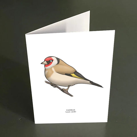 Targeta de felicitats de fringuella, Joe Hollingsworth i OystercatcherTF