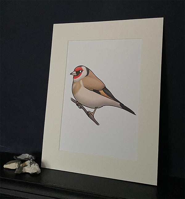Goldfinch Mounted Print, Joe Hollingsworth & OystercatcherTF