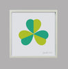 Dervla Clarke, Green Shamrock