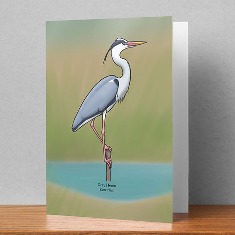 Targeta de felicitats de garçana, Joe Hollingsworth i OystercatcherTF