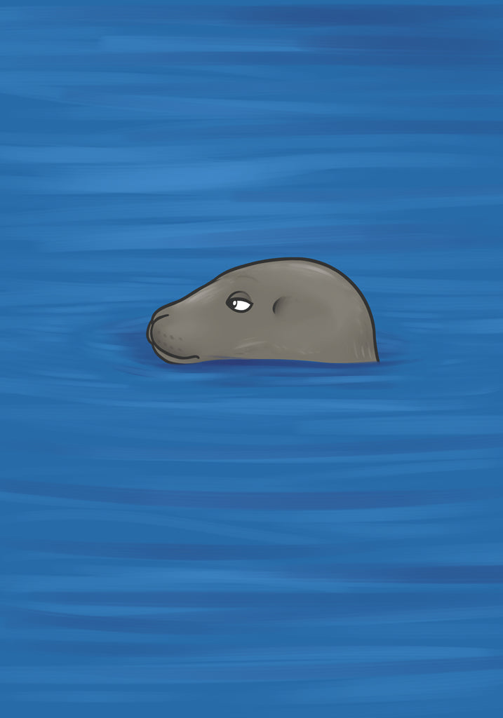 Grey Seal A4 Print, Joe Hollingsworth & OystercatcherTF