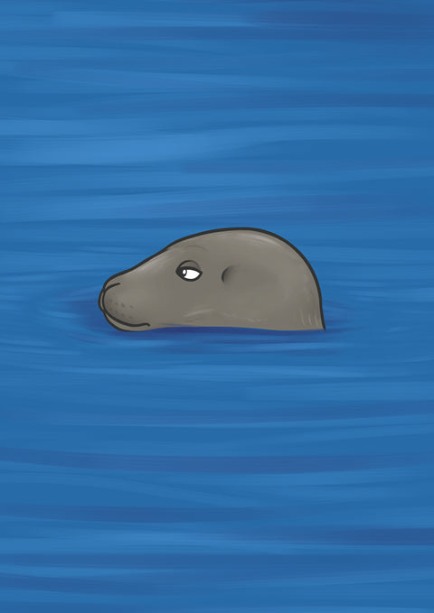 Joe Hollingsworth, Foca gris (Rón Glas)