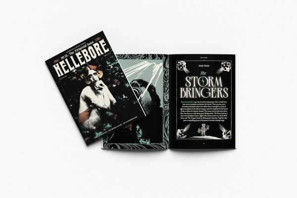 Hellebore, Issue 13