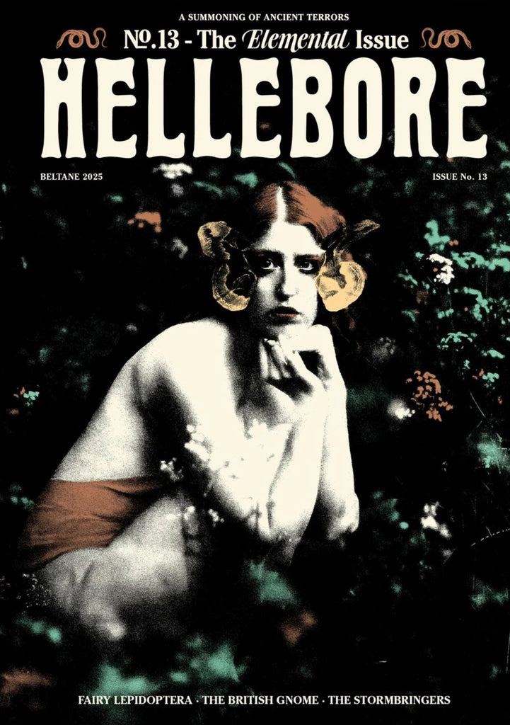 Hellebore, Issue 13