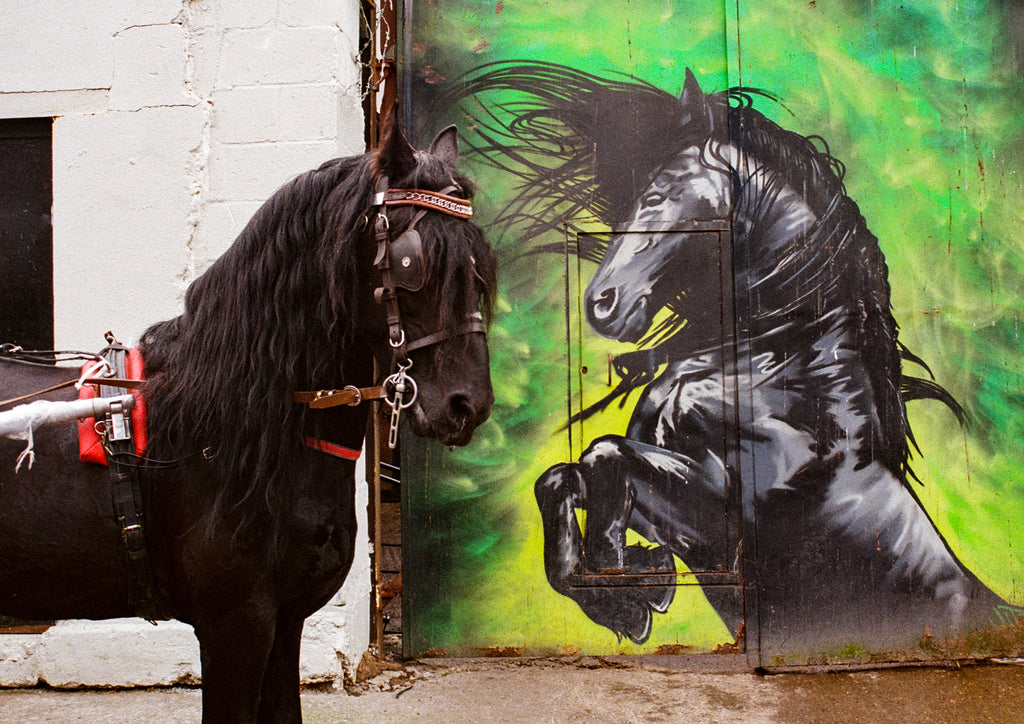 Clodagh O'Leary, Home Time