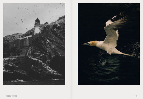 Hotshoe, Issue 209: An Emotional Landscape