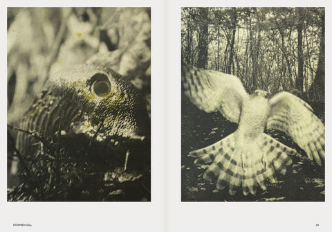Hotshoe, Issue 209: An Emotional Landscape