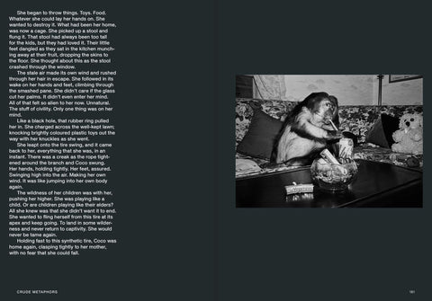 Hotshoe, Issue 209: An Emotional Landscape