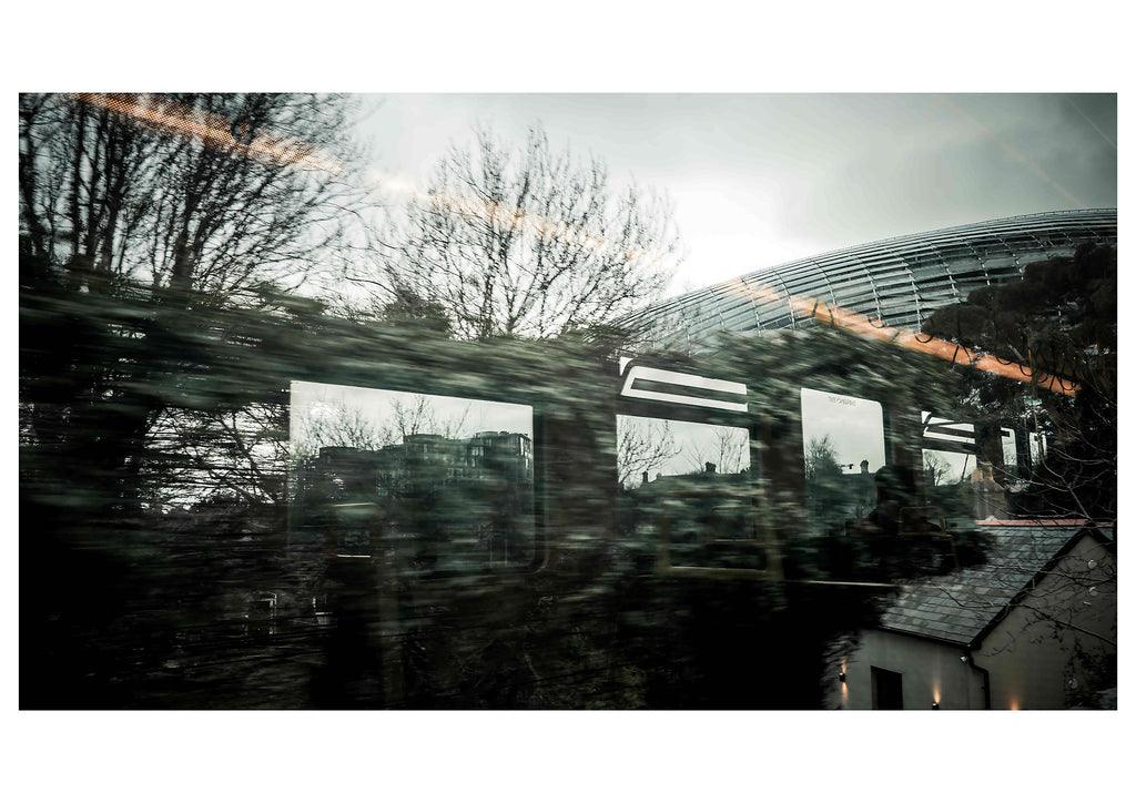 Alicia Basulto, Human Kurtosis: Present and Past