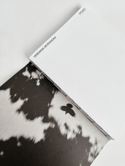 POGO, Viridiana Morandini