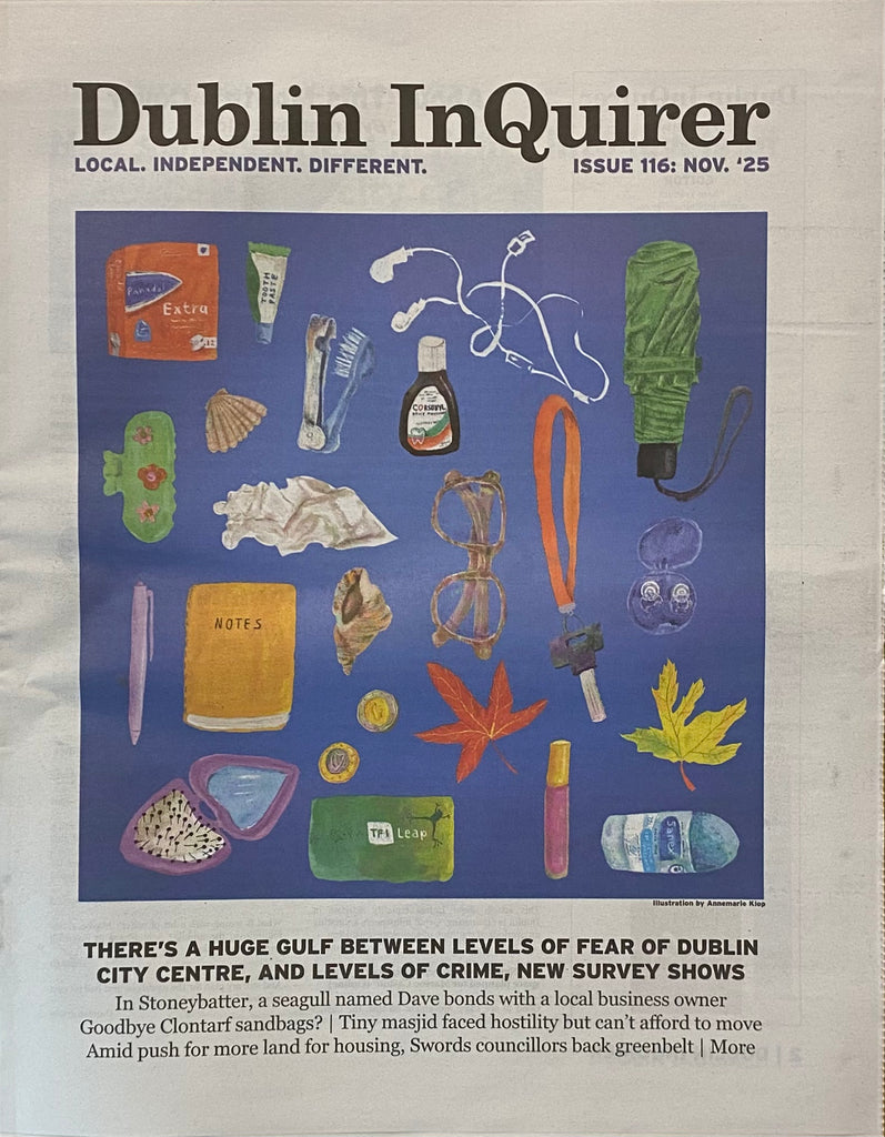 Dublin InQuirer, Issue 116