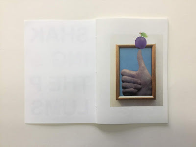 Shaking the plums, (Tim)