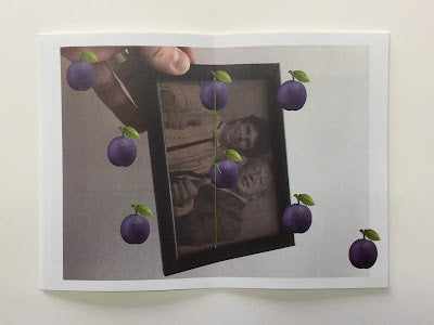 Sacsejar les prunes, (Tim)