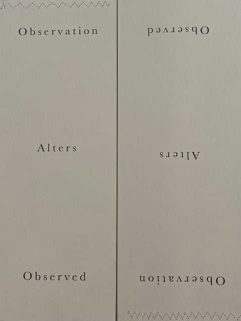 Observation Alters Observed, Hannah McKenna