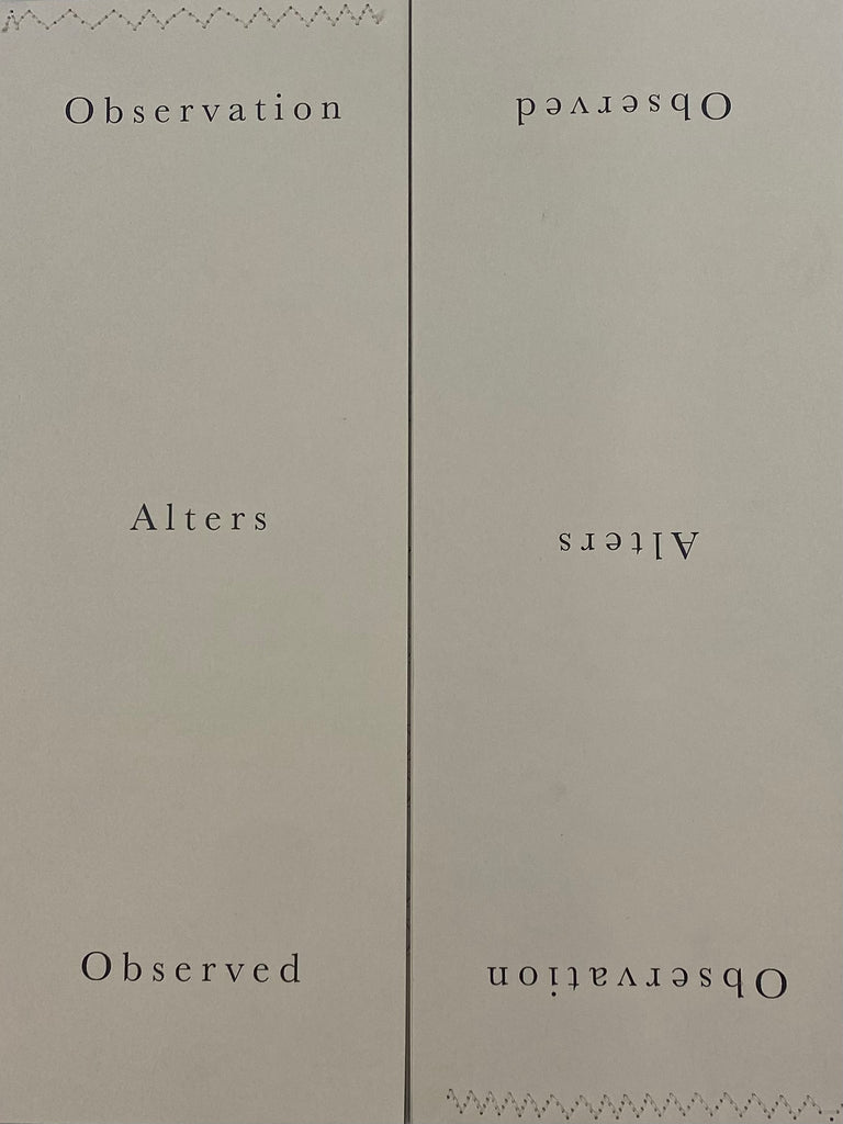 Observation Alters Observed, Hannah McKenna