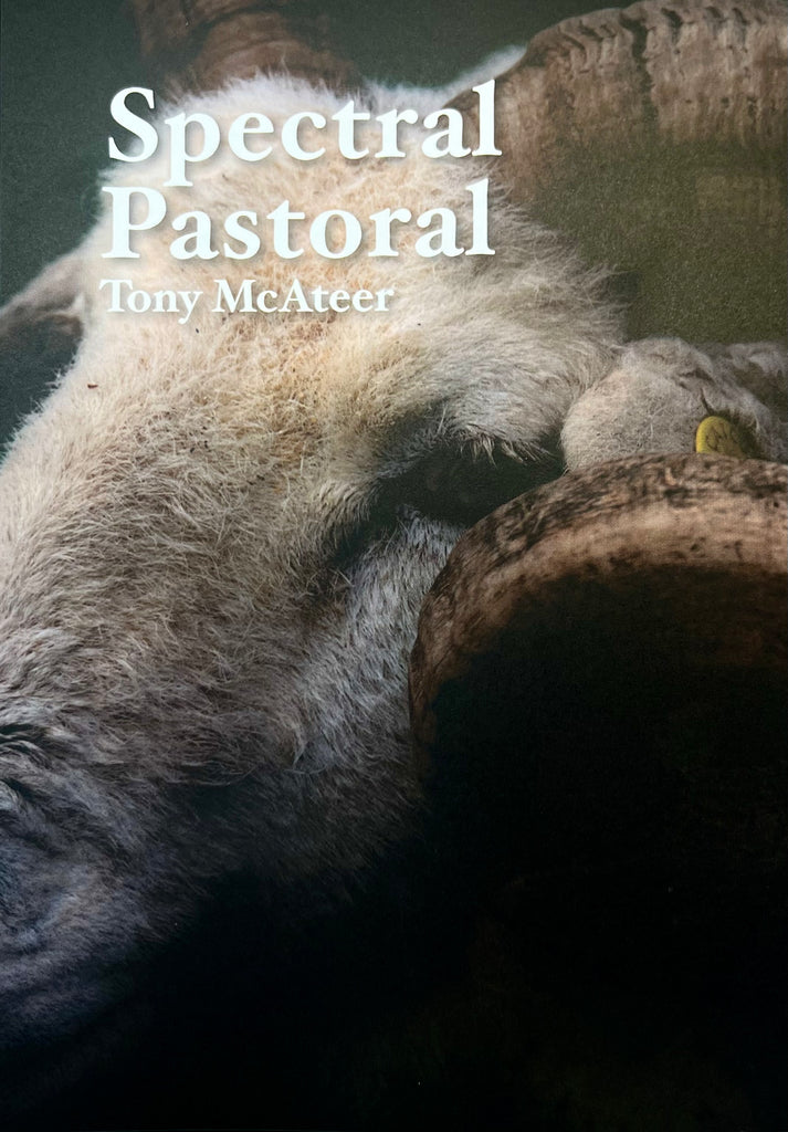 Spectral Pastoral, Tony McAteer