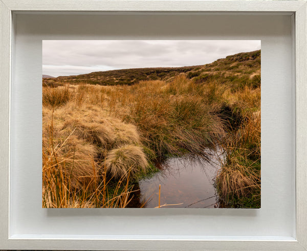 Gerry Savage, The Source