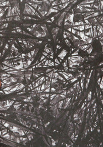 2/5 Series 2022, Francesc Ruiz, Àngels Ribé, Polly Apfelbaum, Claude Closky and Valérie Cudel