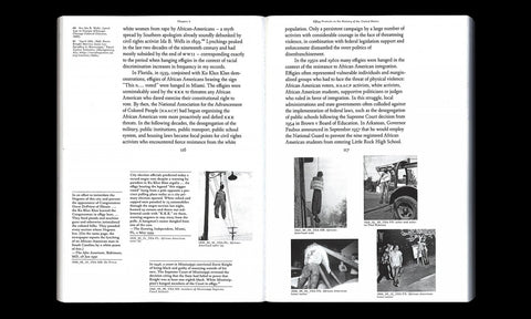 Burning Images: A History of Effigy Protests, Florian Göttke