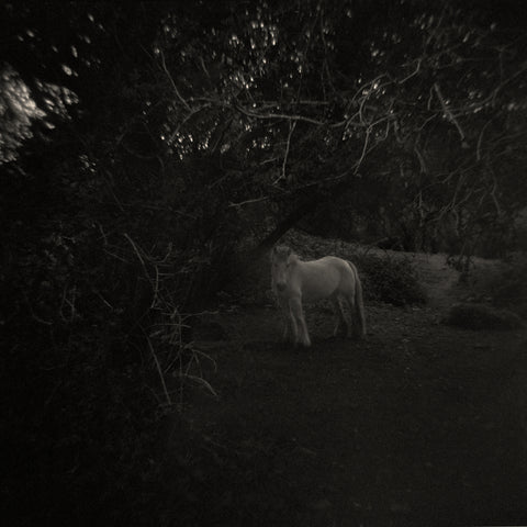 Rafal Krol, I’m here