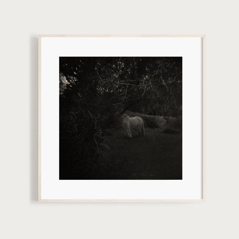 Rafal Krol, I’m here