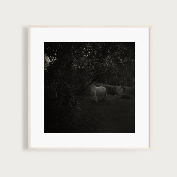 Rafal Krol, I’m here