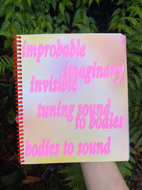 improbable, imaginary, invisible, tuning sound to bodies, bodies to sound, Karen Donnellan