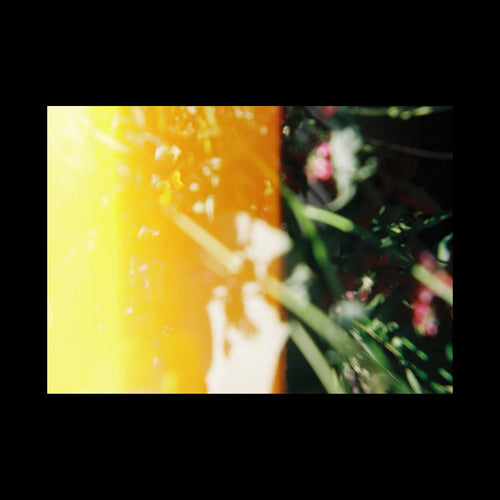 All Flowers Lost In Time, Inés Pesado Catrufo