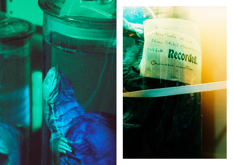 Dead Zoo in Blue, Ishmael Claxton