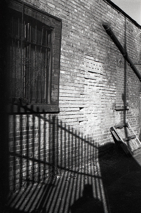 Joanne Betty Conlon, Shadows