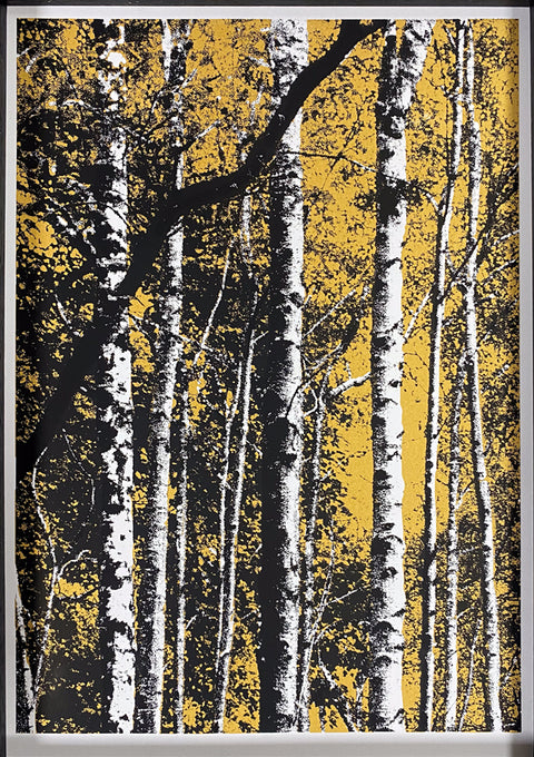 Karen Browett, Among the Birch at Tibradden