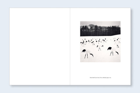 Japan | A Love Story, Michael Kenna