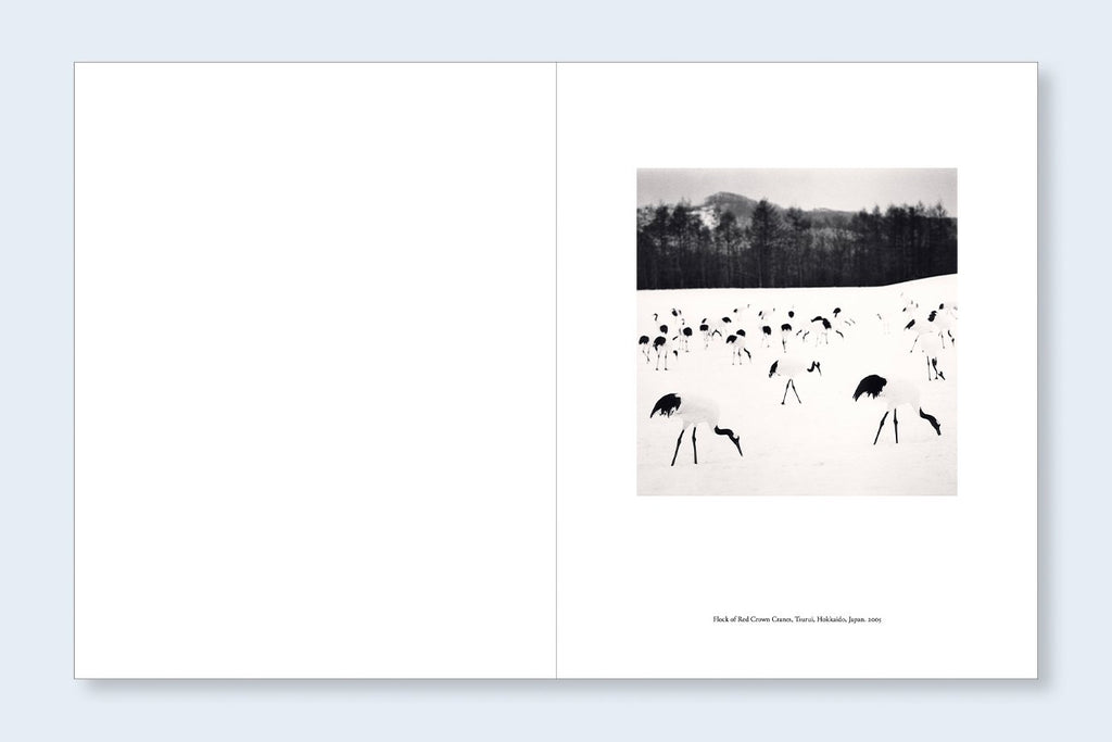 Japan | A Love Story, Michael Kenna – The Library Project