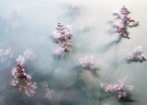 The Garden Series, Kevin Griffin