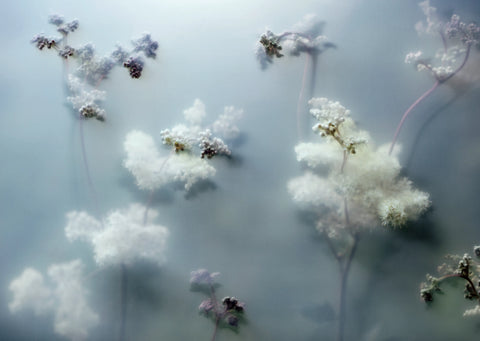 The Garden Series, Kevin Griffin