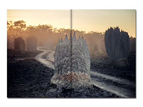The Colony, Liss Fenwick