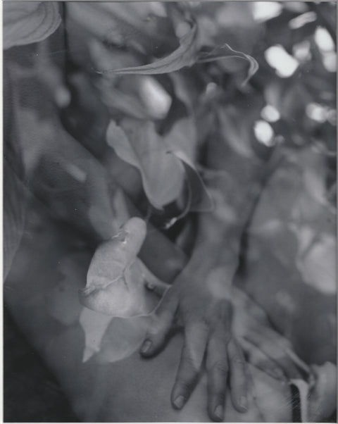 Leslie Allen Spillane, Spring
