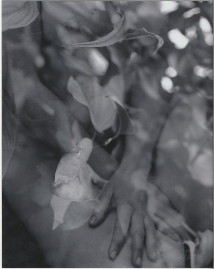 Leslie Allen Spillane, Spring