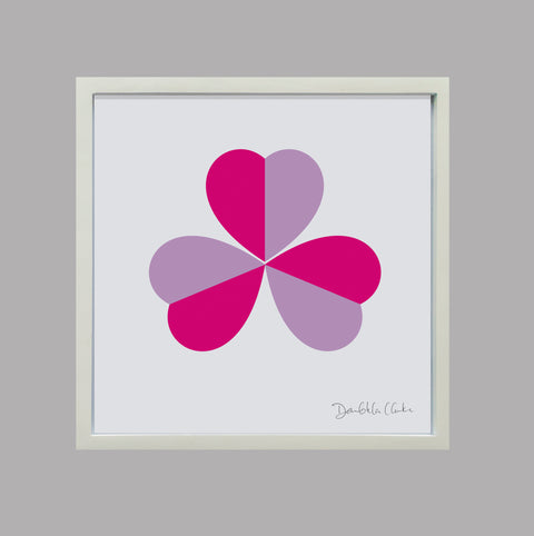 Dervla Clarke, trèfol lila i rosa