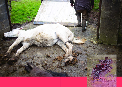 The Lesser Streams of Place, Michael Croghan