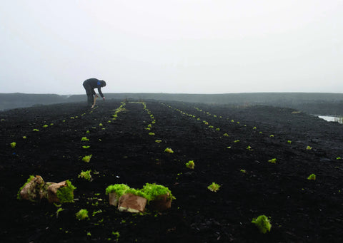 The Lesser Streams of Place, Michael Croghan