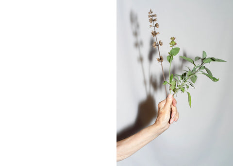 One Day, Mary Furlong