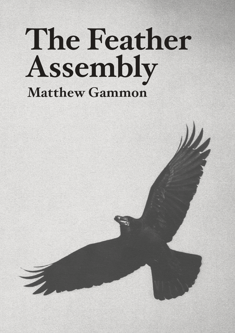 The Feather Assembly, Matthew Gammon
