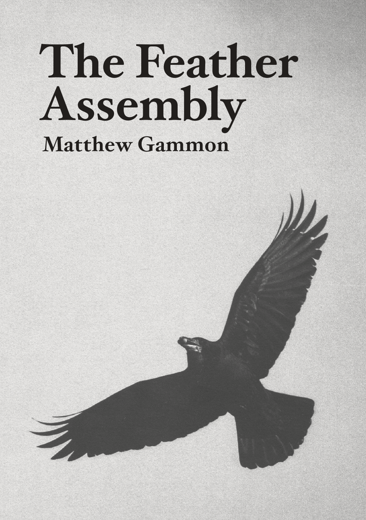 The Feather Assembly, Matthew Gammon