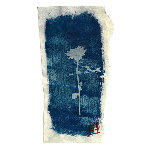 Merve Sagit, Just Blue Carnation Eulogy
