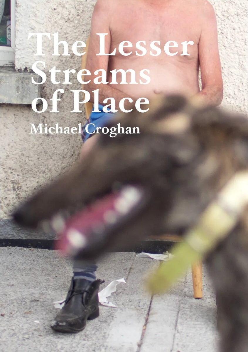 The Lesser Streams of Place, Michael Croghan – The Library Project