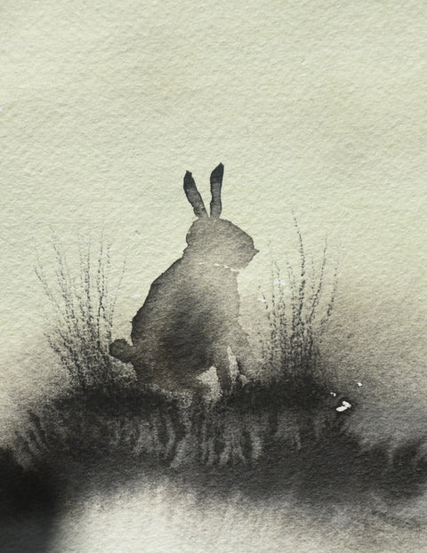 Ailbhe Wheatley, Midnight Rabbit