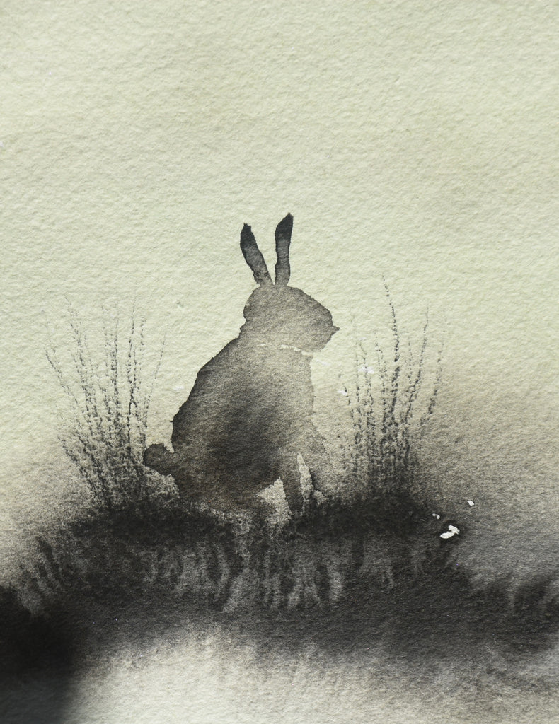 Ailbhe Wheatley, Midnight Rabbit